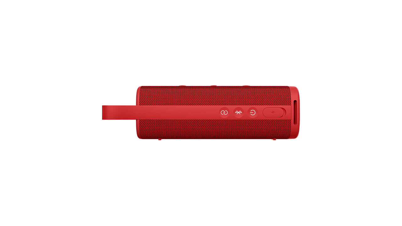 Xiaomi Sound Outdoor 30W Portable Speaker